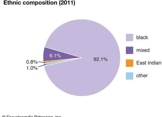 Ethnic composition pie chart
